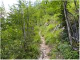 Planina Polog - Tolminski Kuk